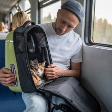 列車内で「突然鳴き出した猫」の飼い主から、鉄道会社が罰金を徴収 フランス