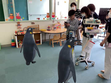 横須賀市立総合医療センターに全国初「ARどうぶつえん」常設導入、小児医療支援を強化