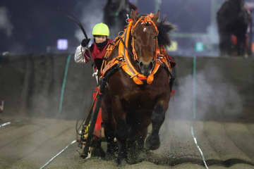 【ばんえいダービー】キョウエイエースが制覇、世代王者に輝く