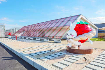 島根県 出雲市にメロメロいちご狩り空間「出雲ICHIGO縁」1/7 オープン☆ 事前予約制 40分間食べ放題♪ 広々甘い空間に苺5万株　すてきなショップ＆カフェでほっこり◎