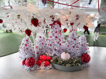 251mの展望台でいちごイベント サンシャイン60展望台「てんぼうパーク いちごびより」