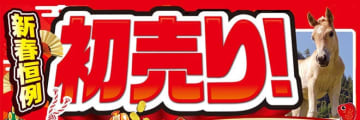 ヨドバシカメラ各店が明日の元日8時から「初売り」開催! 「夢のお年玉箱」を数量限定販売～プロカメラマンによる無料「新春記念撮影会」も開催