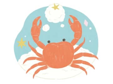 2025年12月を頑張った「かに座」さんへ。Sayaがひも解く星の答え