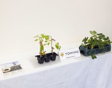 コカ・コーラシステムが「綾鷹」原料茶葉の持続可能な農業を促進　スタートアップ企業の高機能バイオ炭「宙炭」使用して実証実験