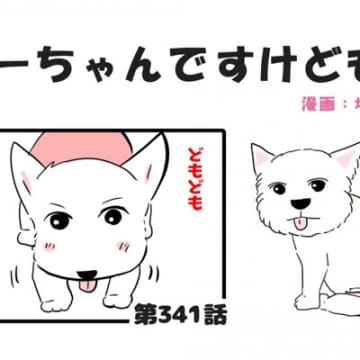 ちーちゃんですけどもっ【第341話】「今年もありがとう」