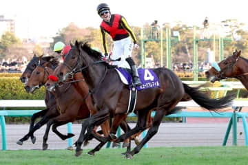 「正直、日本は信じられない」　中山競馬場で唖然…生観戦のオーストラリア識者が感銘
