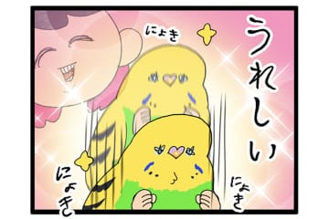 人見知りインコのカチョ。ついに来客に心を開く！【鳥マンガ #177】