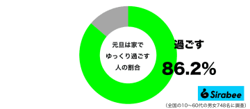 初詣は混んでいて寒いので…　約9割が選ぶ「元旦の過ごし方」に納得