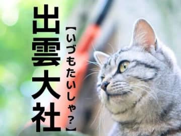 【出雲大社】は「いづもたいしゃ」ではない！？正式名称知ってますか？【日本人が意外と知らない漢字クイズ】