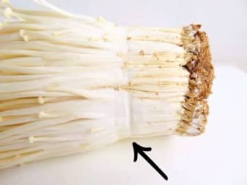 えのきは"線"で切っちゃダメーー！知らないと損する【きのこの正しい切り方】