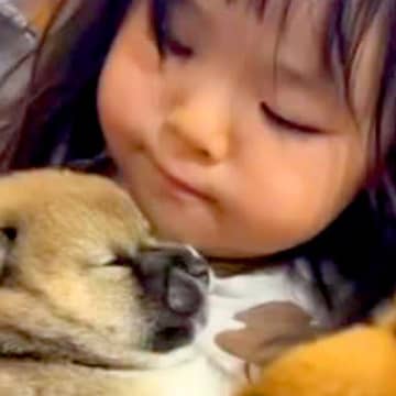 小さな女の子が『犬の赤ちゃん』を抱っこした結果…とんでもなく尊い『愛にあふれた光景』が13万再生「可愛いが可愛いを抱っこしてる」と絶賛