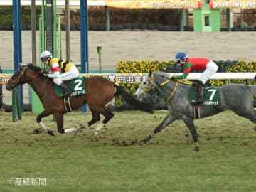 【中山金杯】まずまずの成績を挙げるディセンバーＳ組！その他有力となるステップは？ステップレースから見る過去10年の傾向