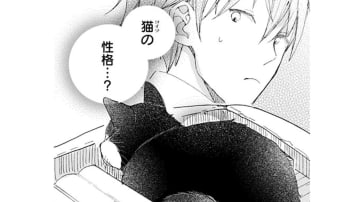 猫の名づけ。適当な名前を呼んでみるが反応なし。性格や特徴ってある？バカバカしくなってきた…【同居人はひざ、時々、頭のうえ。 #16】