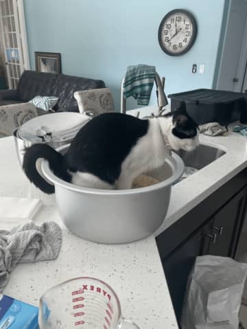 【画像】なんでこんな目に！？ 笑ってやり過ごすしかない不運な人たち