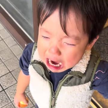 2歳の男の子が『トリミングに行った愛犬ともう会えない』と大号泣してしまい…尊い家族愛と『再会の瞬間』が62万再生「立派な愛犬家」の声も