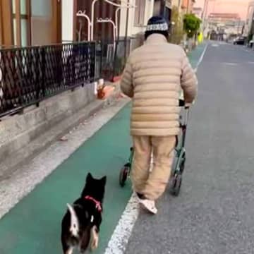 『近所のおじいちゃん』が大好きな犬→一緒に『シニアカー』に乗って…素敵すぎる『ふたりの時間』が38万再生「心が暖かくなる」「かわいい」