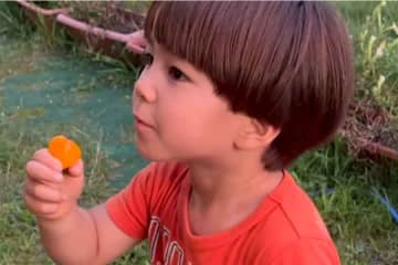 「おじいちゃ～ん、見て！」　スイス暮らしの4歳児が日本で大興奮　滞在中に発した意外な「4文字」の日本語とは