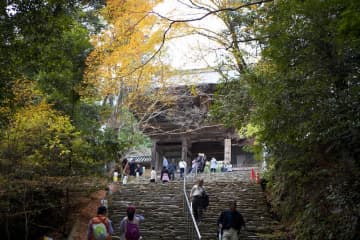 和気仲世——空海を保護し、神護寺建立など平安初期仏教を庇護