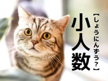 【小人数】を「しょうにんずう」と読んだら笑われる！？まさかな読み方とは【意外と知らない漢字クイズ】
