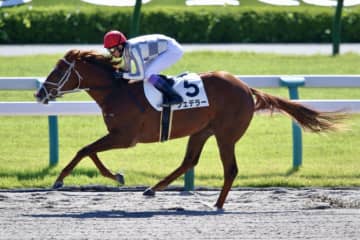 武豊騎手 今週の騎乗馬…日月で16鞍