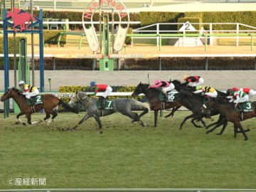 【中山金杯】重い斤量を嫌って評価を下げるのは厳禁！過去10年で8勝挙げる斤量とは！？ハンデで見る攻略POINT