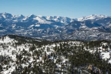 ハイキングコースでピューマに襲われ女性死亡　米コロラド州