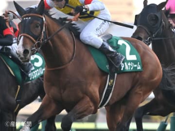 【中山金杯】中穴の台頭には注意が必要！頭で狙うなら何番人気までがマスト？3連単を的中させる軸馬・相手馬の狙い方