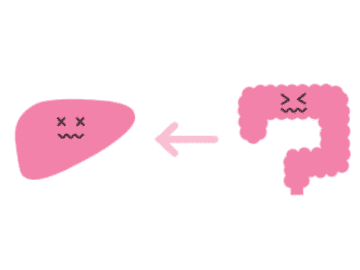 脂肪肝の人は腸内環境が悪い!? ダイエットにはまず腸を整えると良いワケ【新脂肪肝 代謝復活ダイエット】