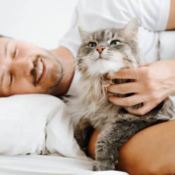 猫に『感謝の気持ち』を伝えたいときの方法3つ　絆を深める効果的な手段をご紹介