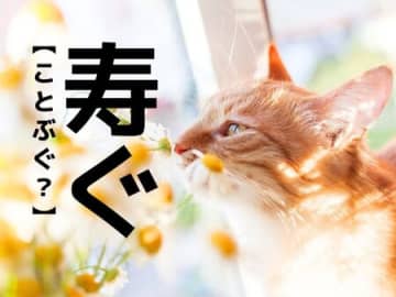 【寿ぐ】なんて読む？「ことぶぐ」ではありませんよ！日本人なら知っておきたい【漢字クイズ】