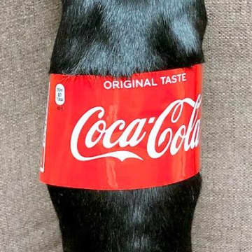 『コカ・コーラの瓶』かと思ったら…おもしろ可愛い『まさかの正体』がSNSで話題「コーラで間違いない」「1本ください！」と12万表示