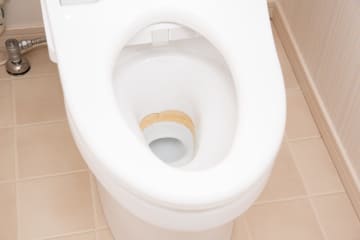 トイレ掃除の頻度は？「サボったリング」を二度と作らない10秒習慣