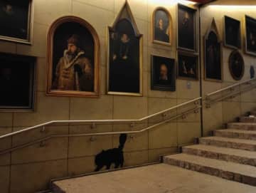 本物の魔法みたい！ハリーポッターの世界にどっぷりはまる4時間観劇！