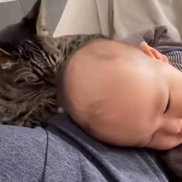 ママと寛いでいた猫→赤ちゃんが近づくと…思わずキュンとする『優しすぎる行動』が14万再生「かわいいしか出ない」「ほっこりします」