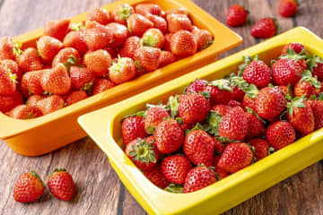 【食べ放題ニュース】ブランド苺も食べ放題～！「充実グルメ＆いちごスイーツホテルビュッフェ」が必見の内容!!