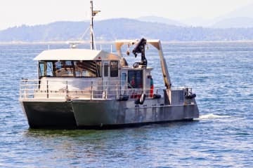 ロシア国籍の船員14人が “海底ケーブル” 切断容疑で『拿捕』拘束されネットで話題に「ロシア政府は賠償責任を負うんですかね？国籍がバレちゃってますし」「片っ端から摘発して、貨物船の稼働状況を低下させて欲しい」