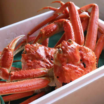 年始も危ない詐欺被害…分かっていてもダマされる消費者心理と対策