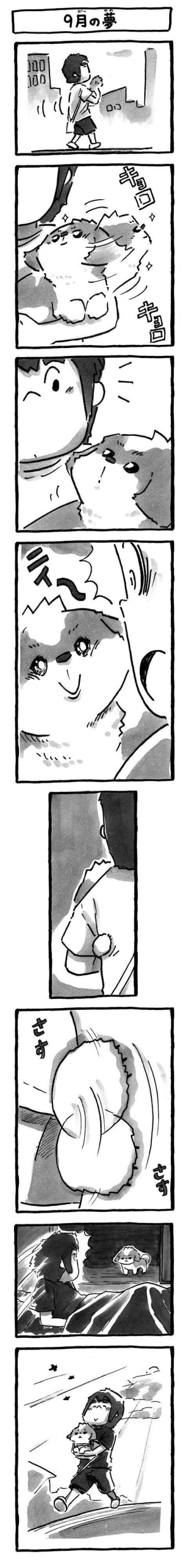 夢の中でニッコリ微笑むて愛犬、夢の続きを連れて行く“特別な朝散歩”|連載「シーズー犬のてんぽ」第290回