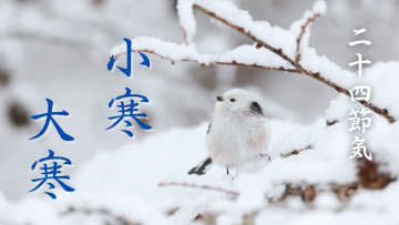 【小寒＆大寒とは】今年2026年はいつでどんな日？読み方や意味、食べ物などを解説