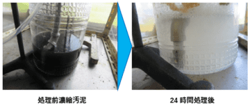 WEF技術開発、活性酸素技術により余剰汚泥を完全分解　焼却に頼らない余剰汚泥処理とリン回収・CO2削減を同時に実現