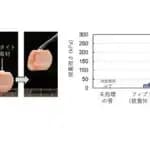 骨の表面にピタッと貼れるセラミック接着材　東北大学などが開発