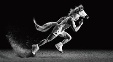 競馬ファンならどこか馴染みがある演出を取り入れたなかやまきんに君出演の『JRA-VAN』新CMを1月4日(日)より公開！