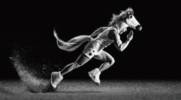 ポピュラーお笑い芸人、なかやまきんに君が主役！JRA-VANの新CMが1月4日より公開