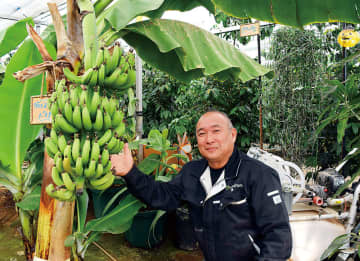 「予想以上の反響に驚き」　埼玉初の大規模コーヒー農園エコファーム　「埼玉をコーヒー産地に」と未経験で始めた農業　真冬も日中25度を下回らない「常夏のハウス」から夢