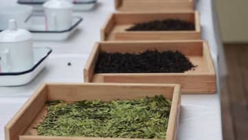 中国・貴州省の各地で早茶大会　茶産業と茶農家の振興を支援