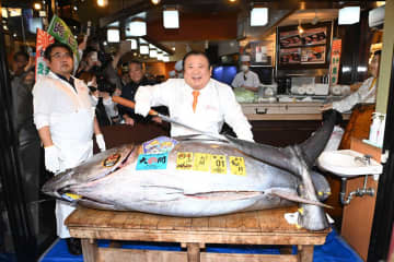 〝５億円超マグロ〟解体ショーをすしざんまい本店で開催　値段は通常通り　大トロで５９８円