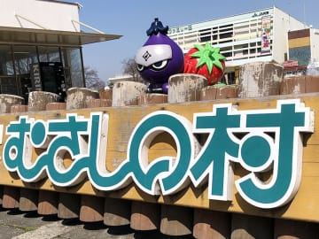 むさしの村「ニューイヤーパス」販売　入園料と乗り物フリーパスが大人3200円⇒2400円、子ども2600円⇒2000円