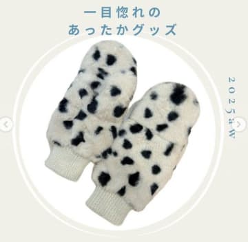 3COINS「冬アイテムも激かわ」「一目惚れでゲット！」大人気のファッショングッズ5選