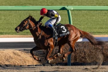 【招福S】最後方から大まくり！岩田康誠騎乗 アスクデビューモアが快勝