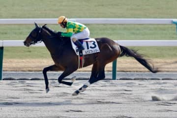 【京都7R】14番人気が激走！ルクスフレンジーが豪快な差し切りV